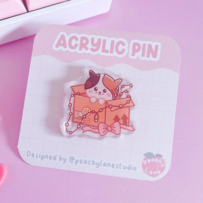 Cat In Box Festive Acrylic Pin