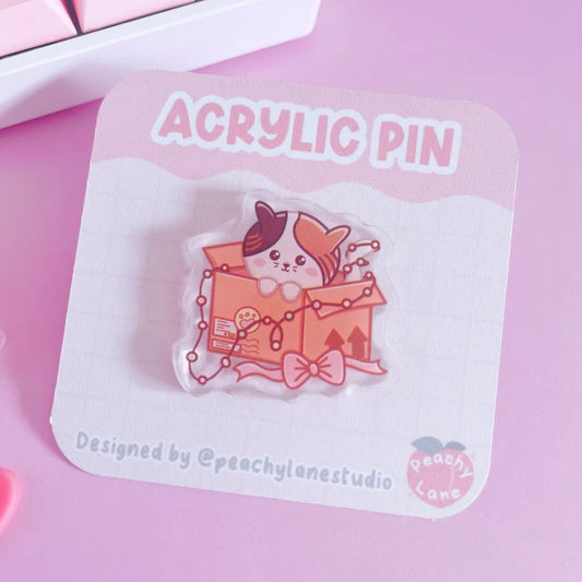 Cat In Box Festive Acrylic Pin