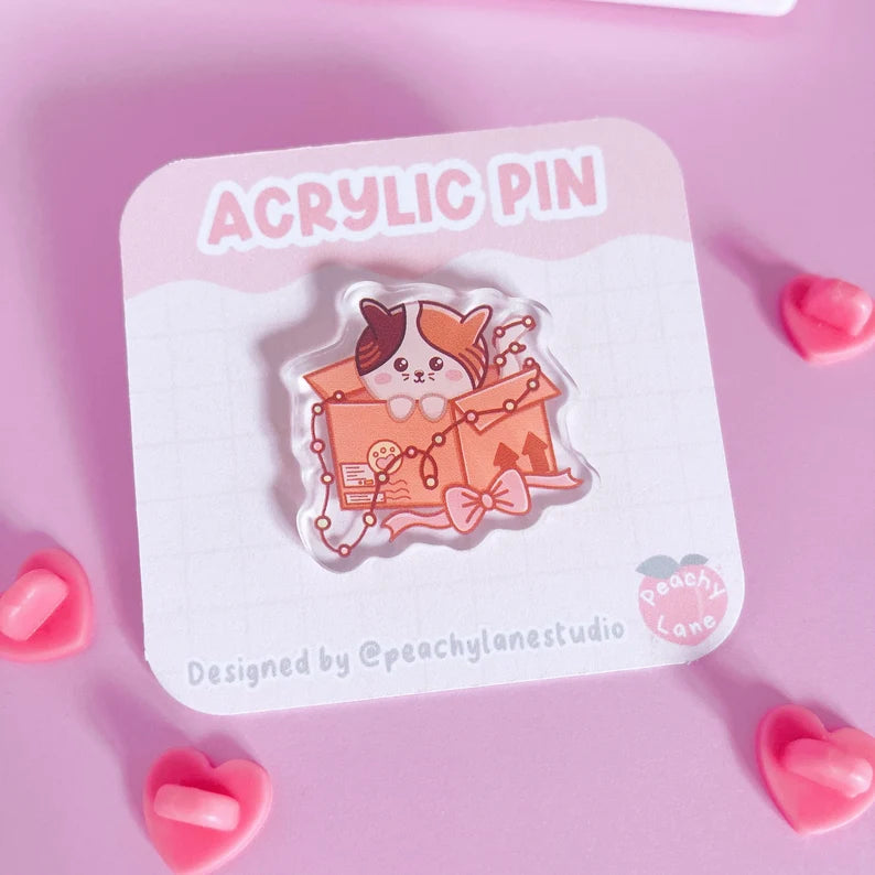 Cat In Box Festive Acrylic Pin