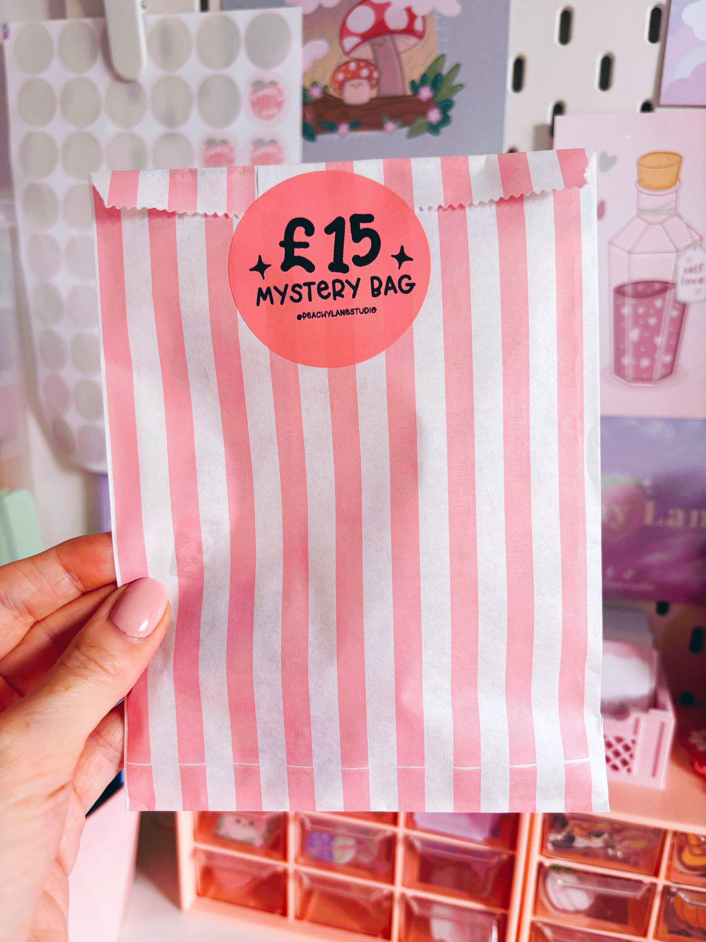 Mystery Bags