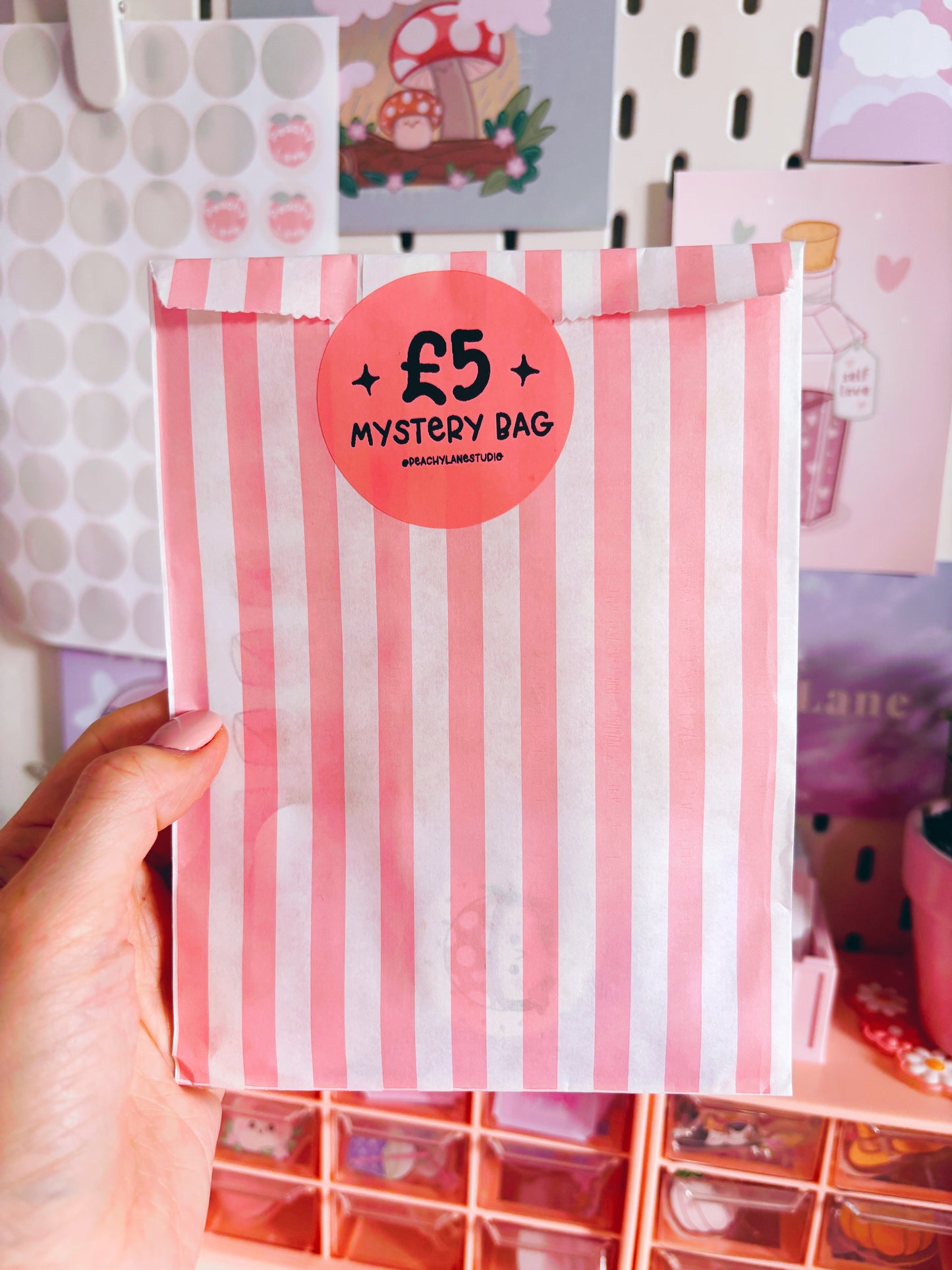 Mystery Bags