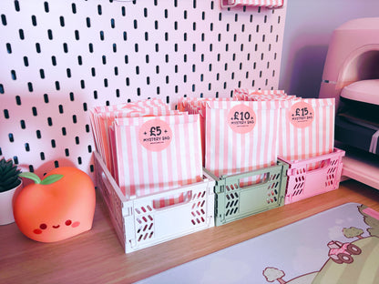 Mystery Bags