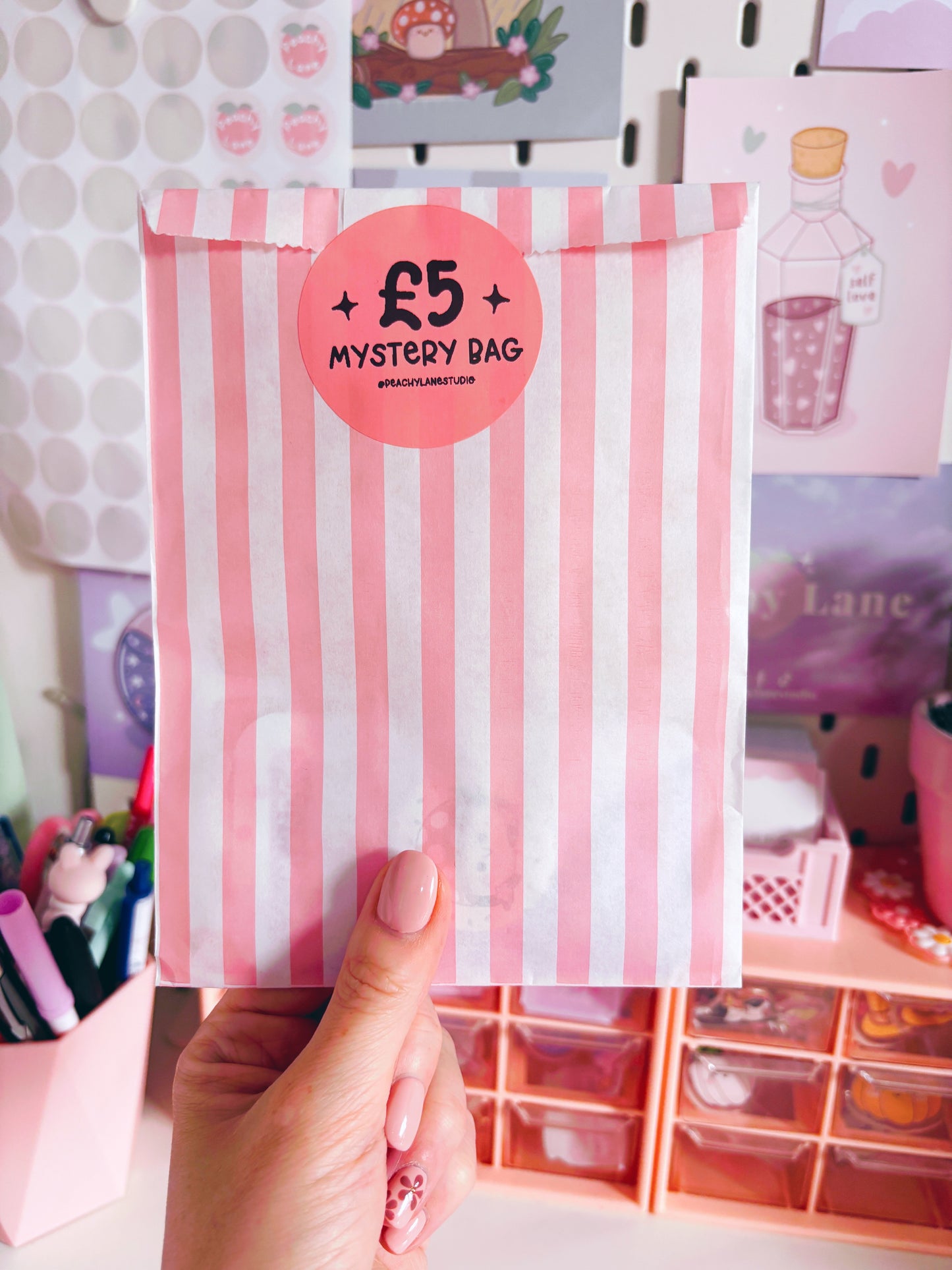 Mystery Bags